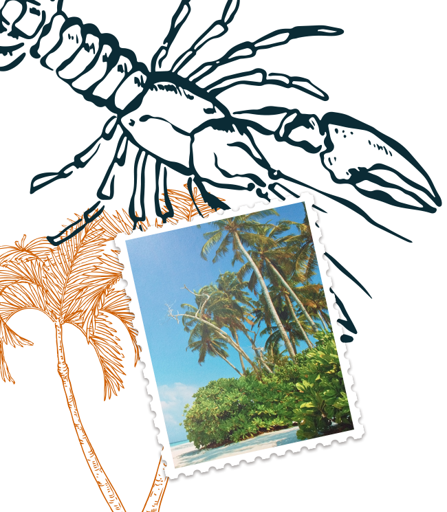 Perle D'Haiti - Restaurant créole Troyes - meilleur restaurant TROYES